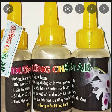 1 lọ Dưỡng Chất Ab 10ml