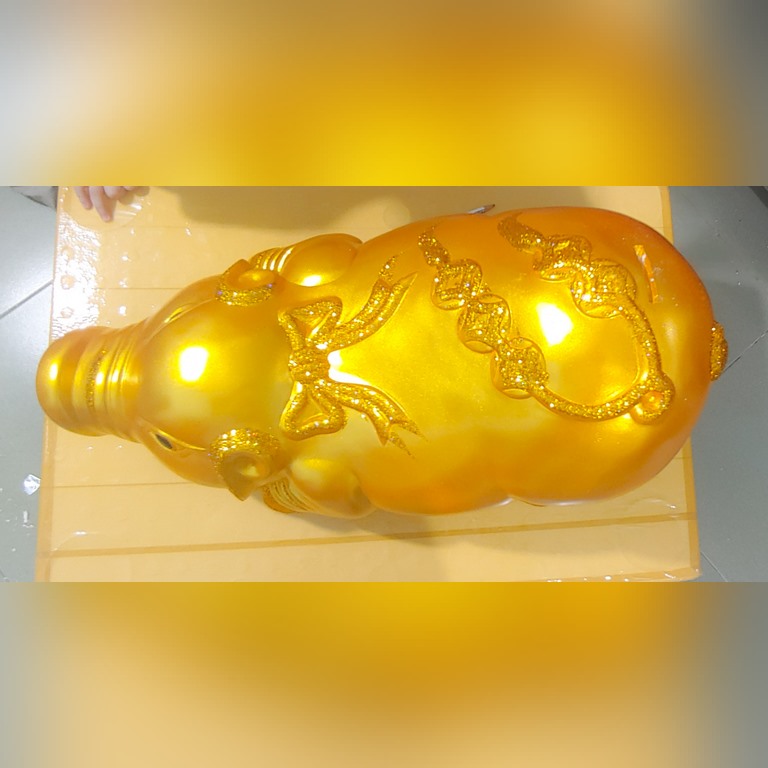 Heo đất khổng lồ dài 60cm