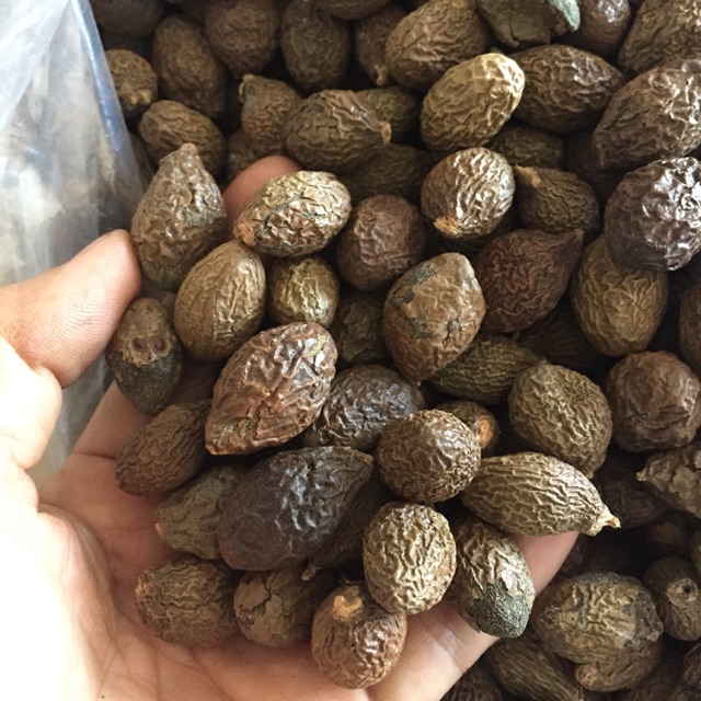 400gr HẠT ƯƠI BAY CHUẨN RỪNG/ HẠT ĐƯỜI ƯƠI