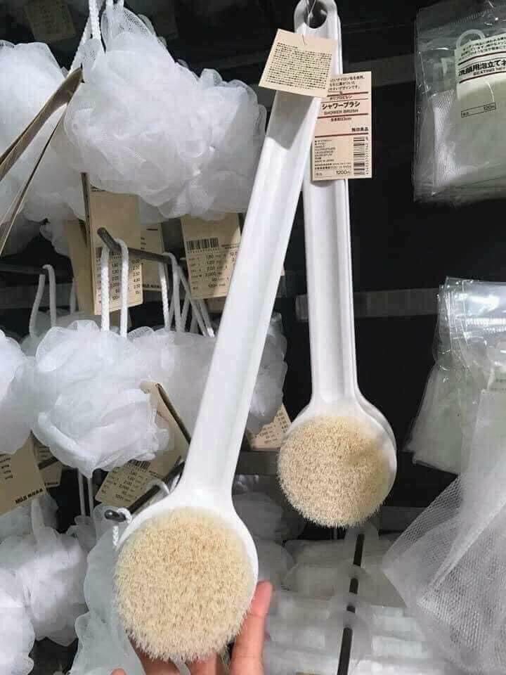 CÂY CHÀ LƯNG, CỌ CHÀ LƯNG MUJI NHẬT BẢN