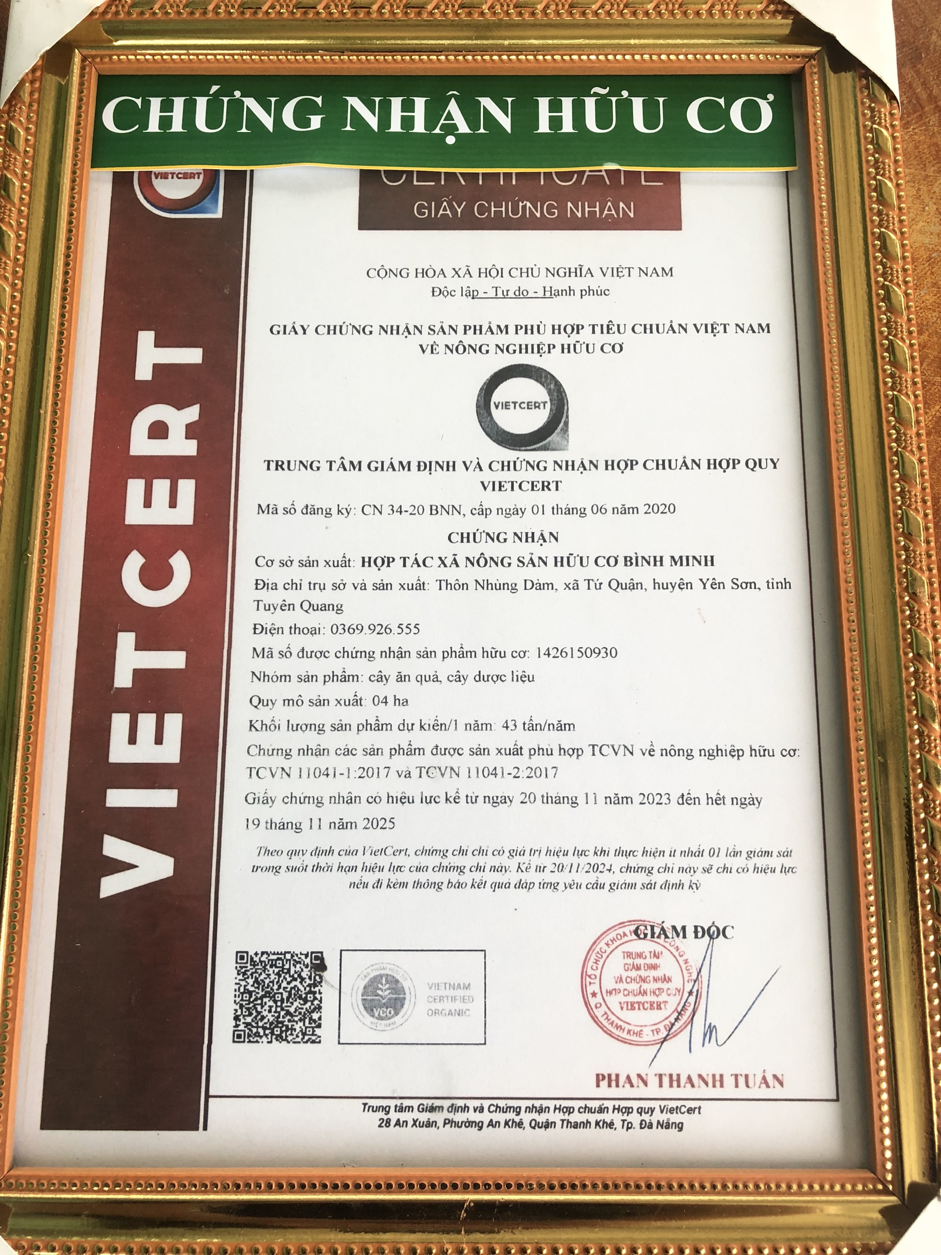 TRÀ CÀ GAI LEO XẠ ĐEN (Trà túi lọc)