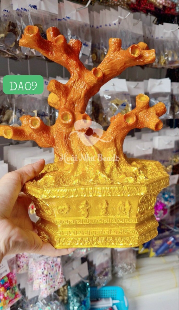 Gốc san hô làm cây kim tiền
