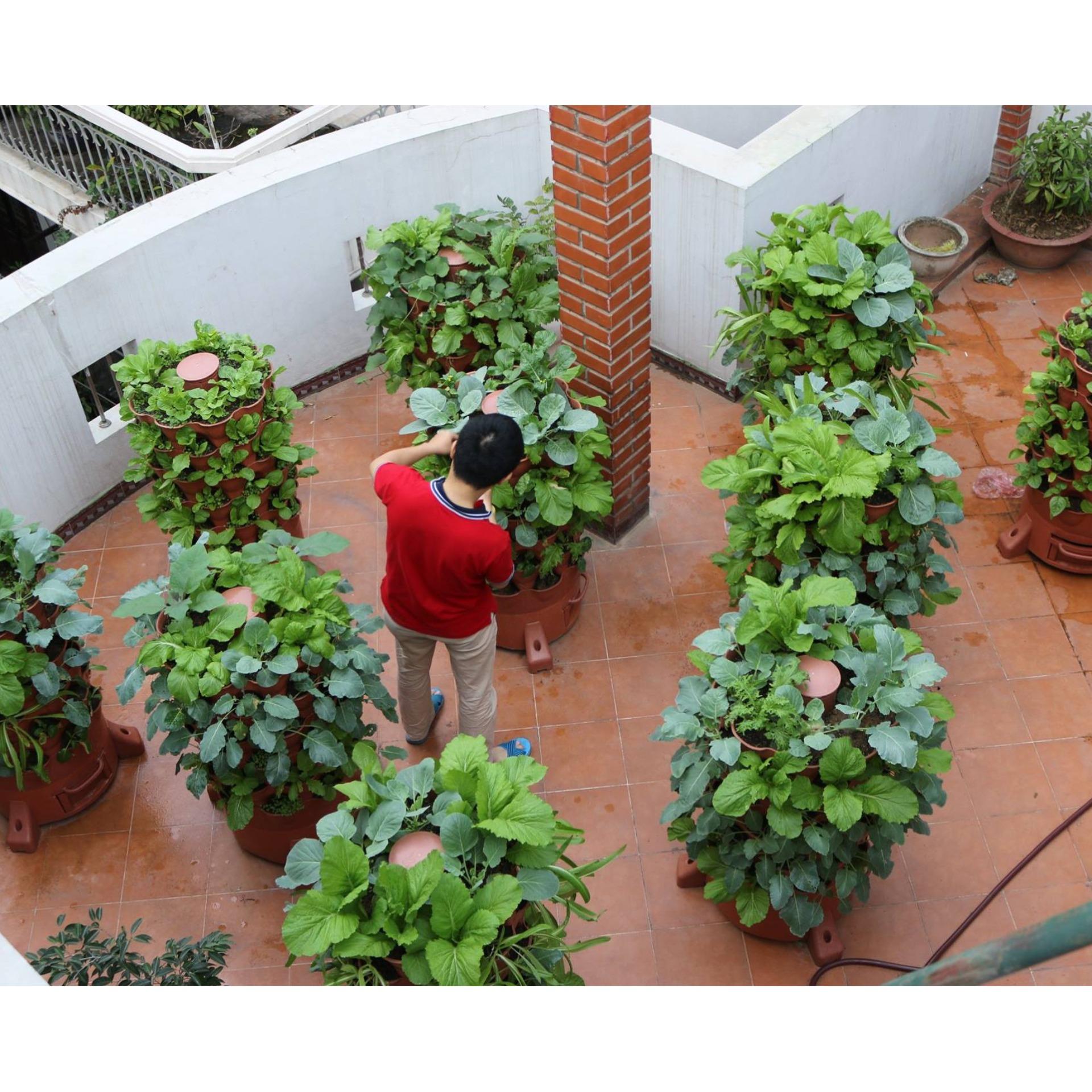 Tháp Trồng Rau Sạch Tại Nhà