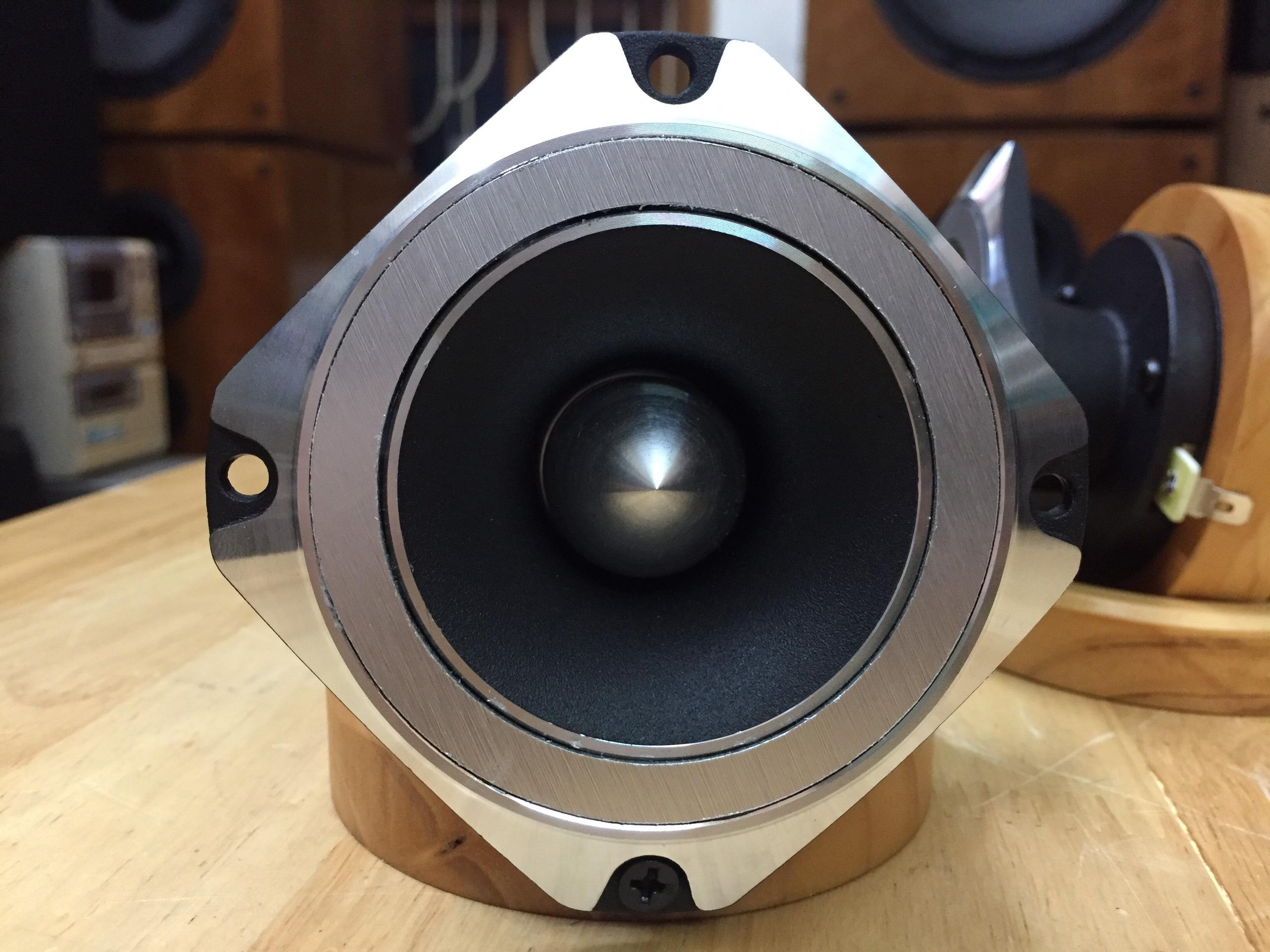 Loa treble rời Pioneer P8804