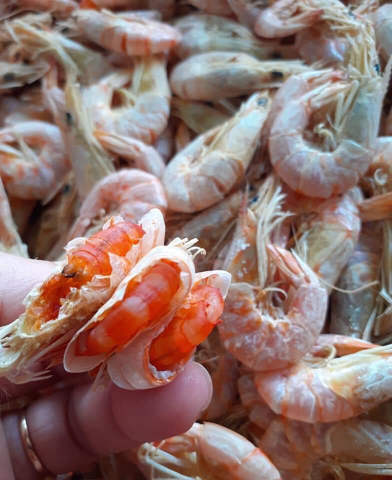 500g TÔM ĐẤT PHƠI KHÔ (lớn) - BÁN ĐÚNG GIÁ - HÀNG ĐÚNG CHẤT