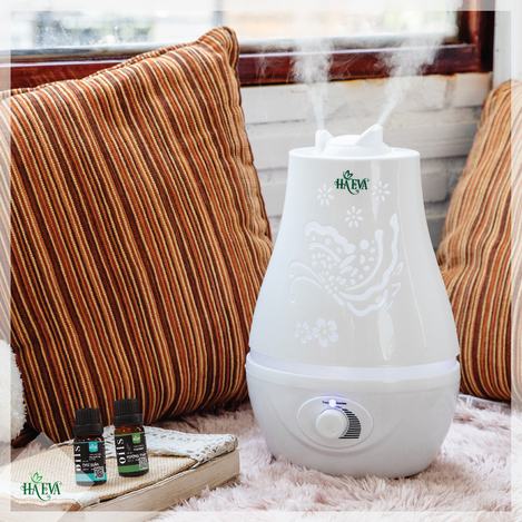 [HCM]Máy khuếch tán 825 Haeva
