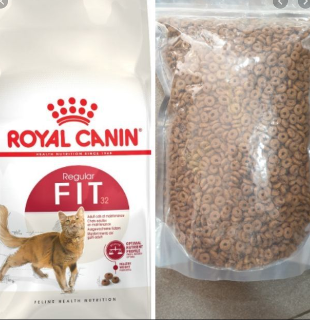 1KG Th c n Cho Meo Tr ng Thanh Royal Canin Fit 32 Tren 12 thang tu i Cho Meo v n ng th ng xuyen Lazada.vn