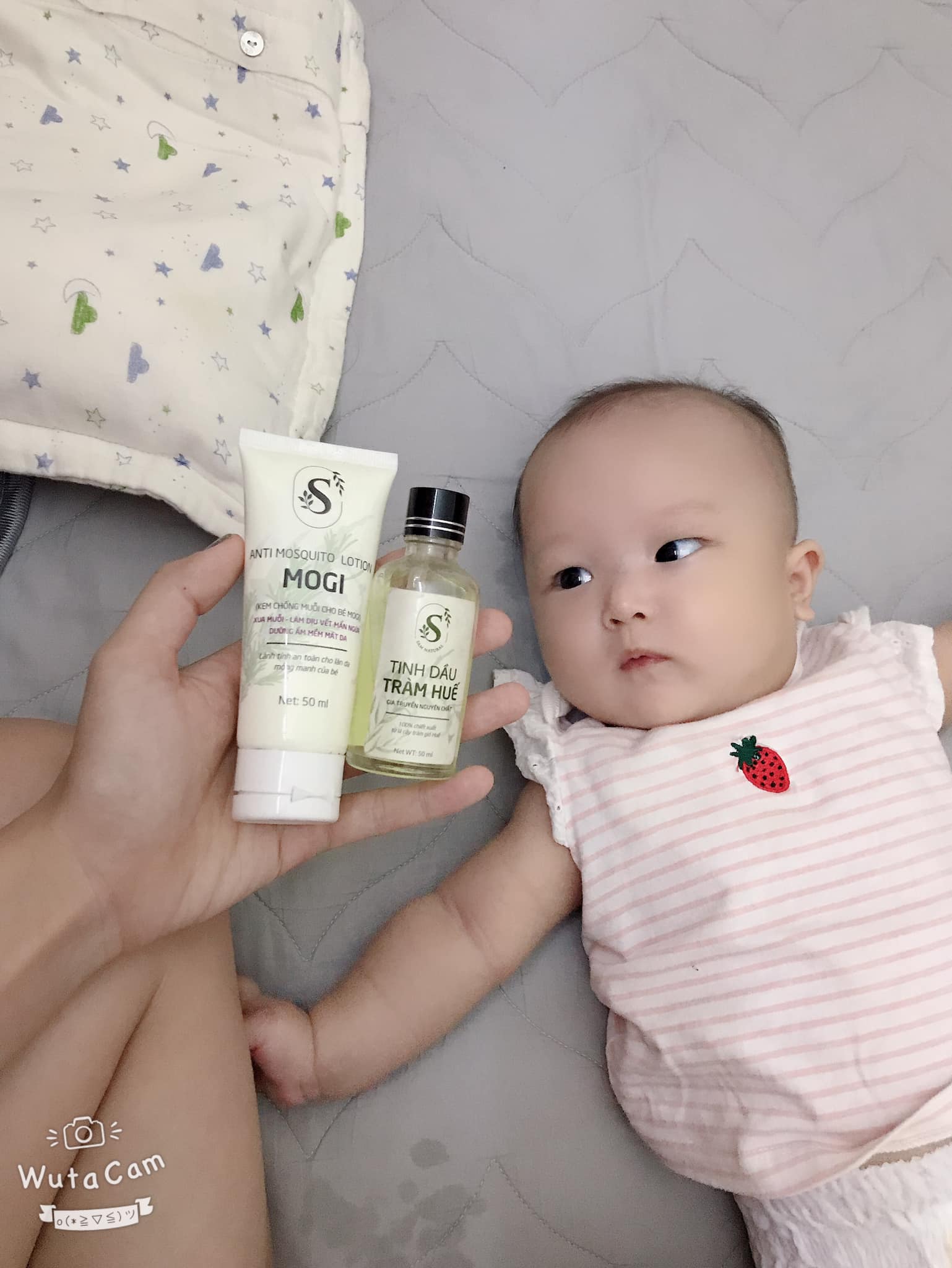 Tinh Dầu Tràm Huế Samnatural