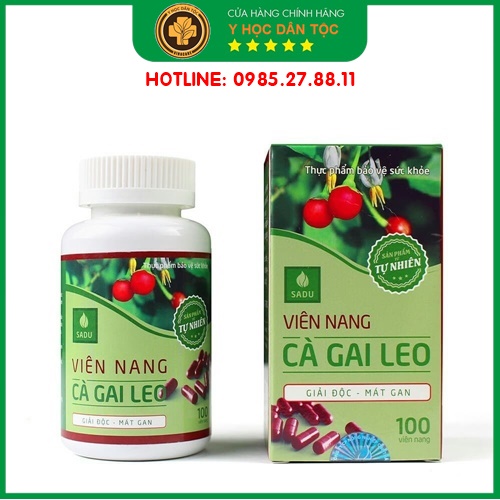 Cà Gai Leo Sadu Viên Nang Hôp 100 VN - Cách tốt nhất để bảo vệ gan