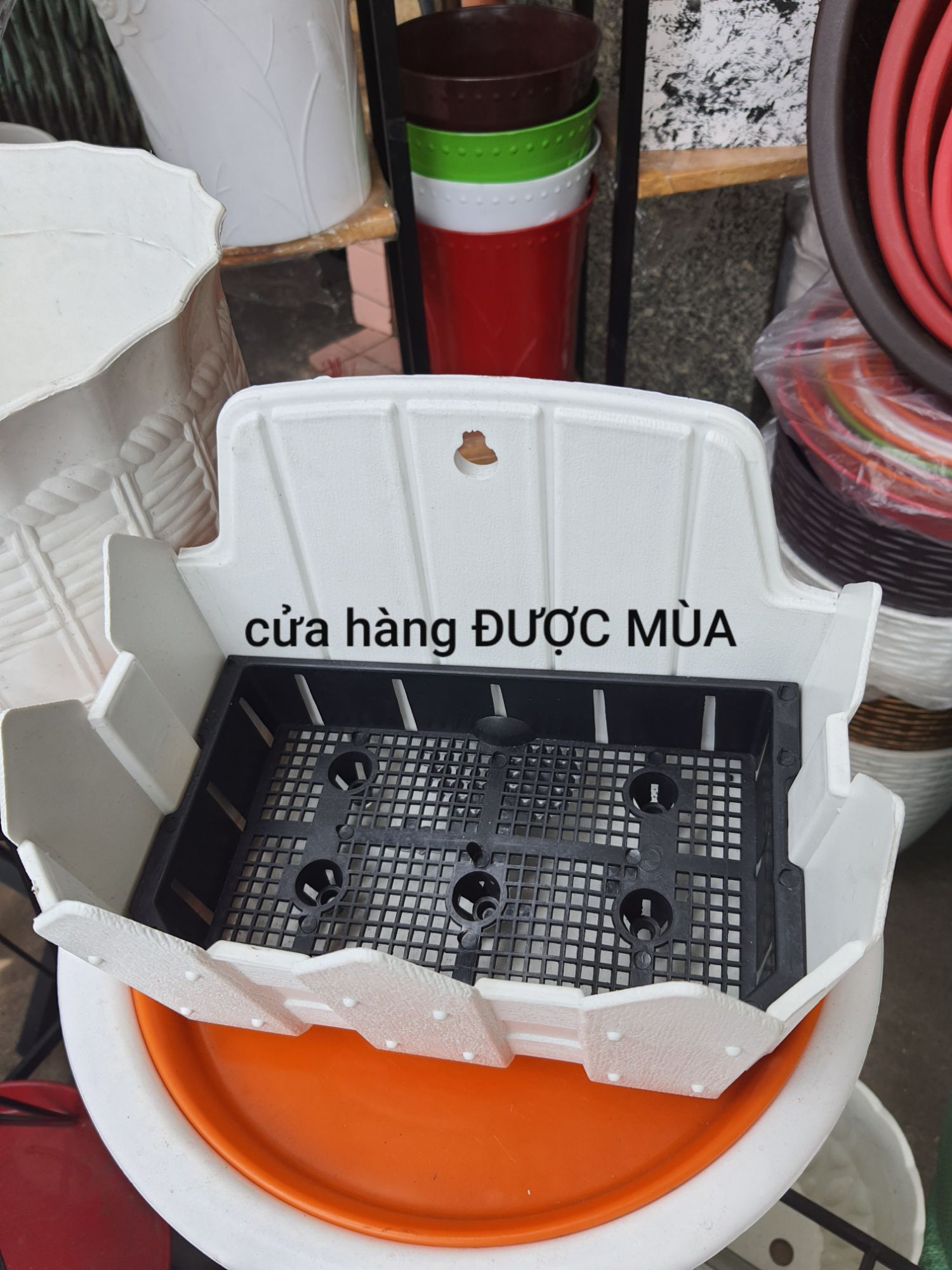 chậu ốp tường hàng rào dài 25cm