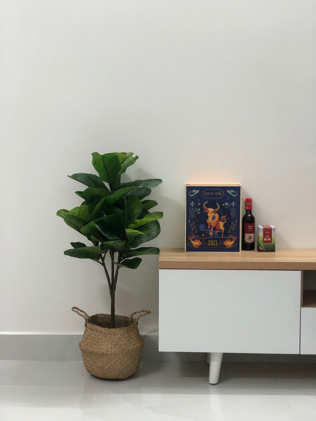 Combo cây bàng singapore kèm chậu giỏ