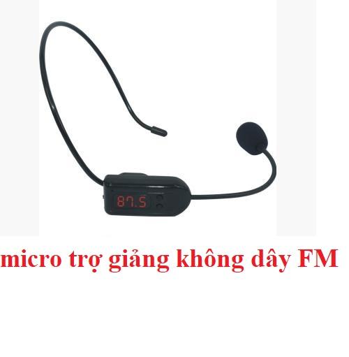 High Quality Fm Wireless Teaching Assistant Microphone