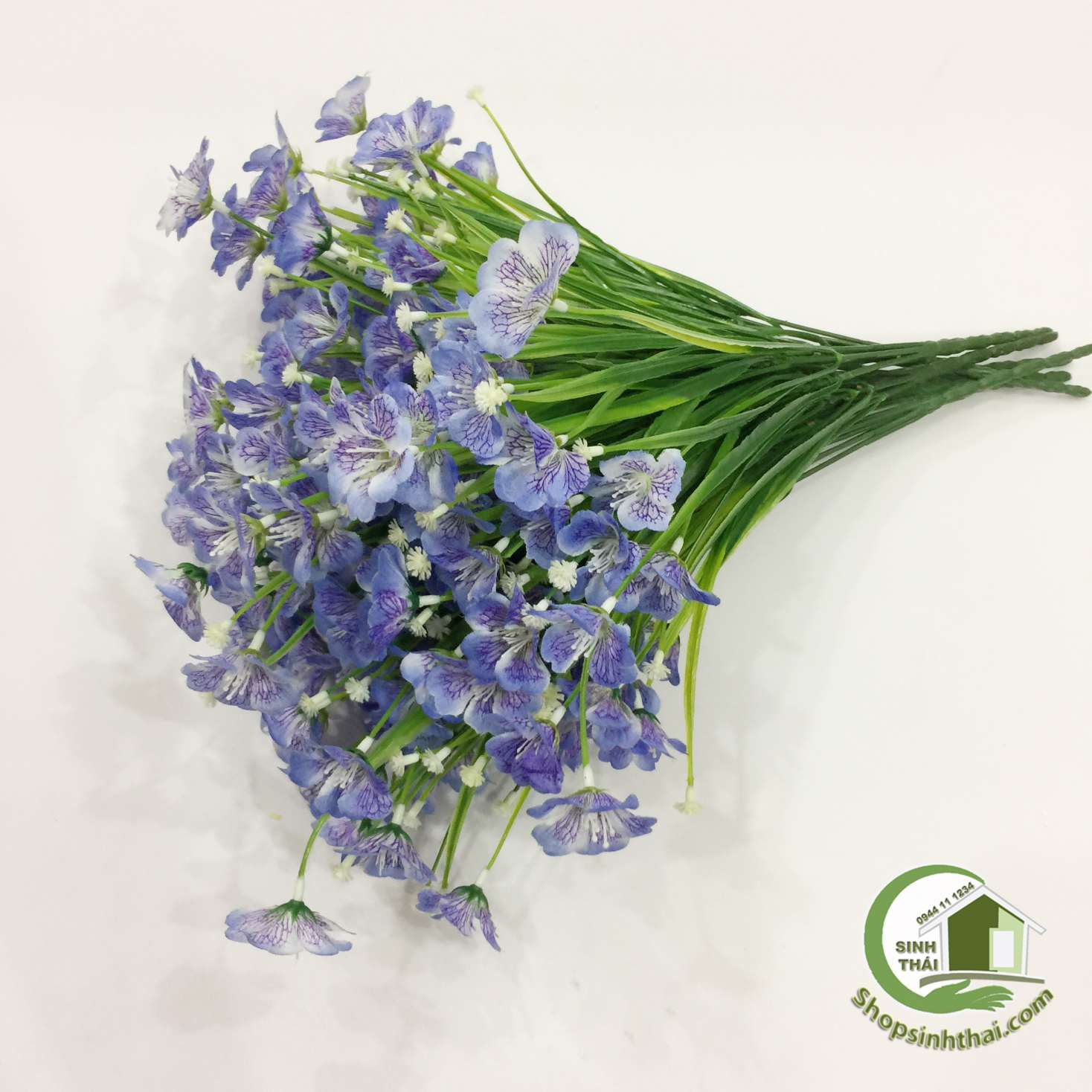 [HCM]Bụi hoa cánh bướm màu tím