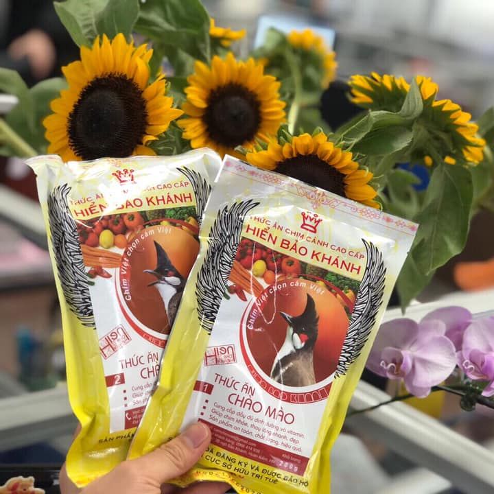 CÁM CHIM CHÀO MÀO SỐ 1 HIỂN BẢO KHÁNH