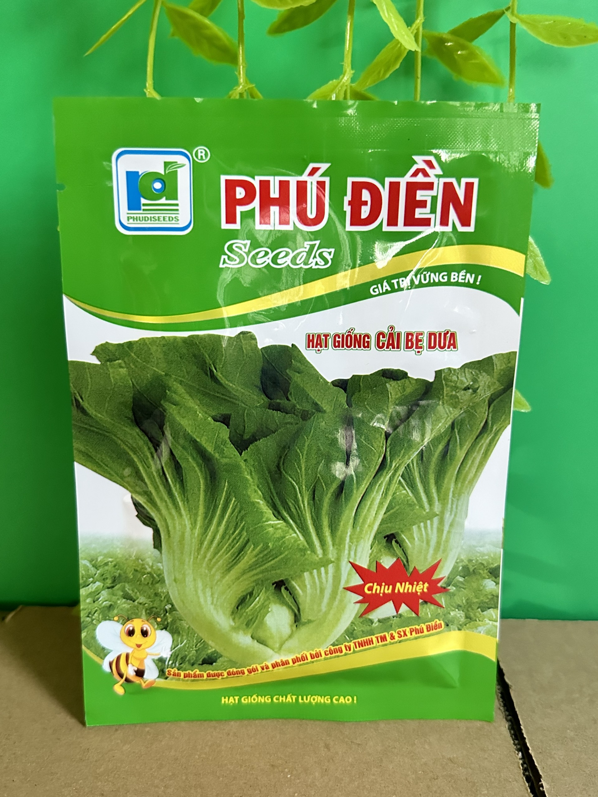 Hạt giống rau cải bẹ dưa