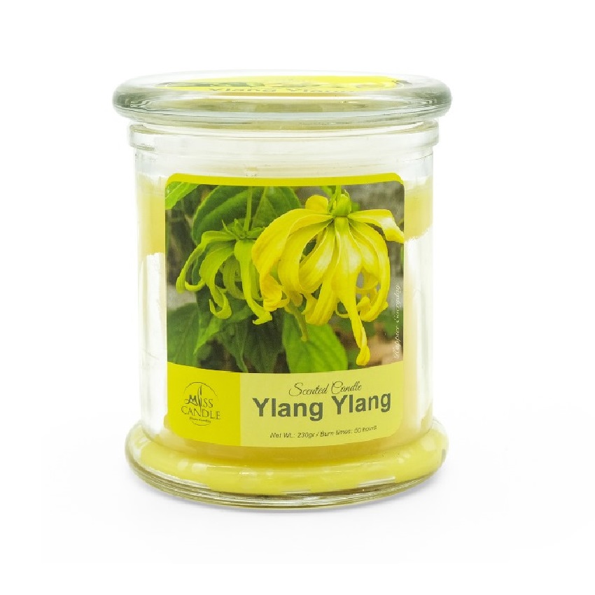 Hũ nến thơm miss candle ftramart 9x9x11.2cm ftm-nqm3414