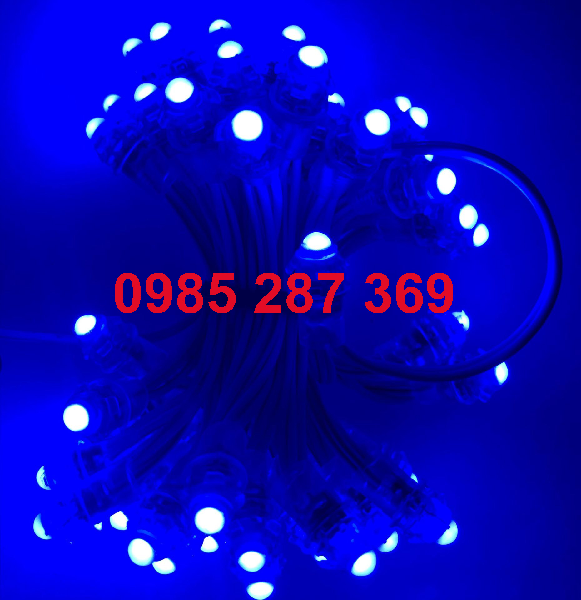 Đèn dây LED đúc trang trí F5 chuyên trang trí ngoài trời - Dùng điện 12V