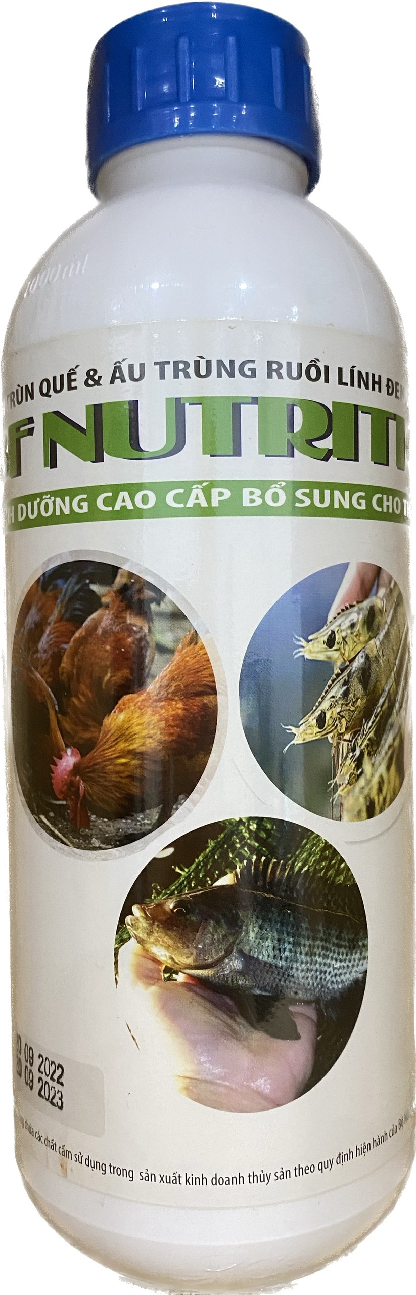 DUNG DỊCH RUỒI LÍNH ĐEN VÀ TRÙN QUẾ THỦY PHÂN - 2 CHAI 1LIT