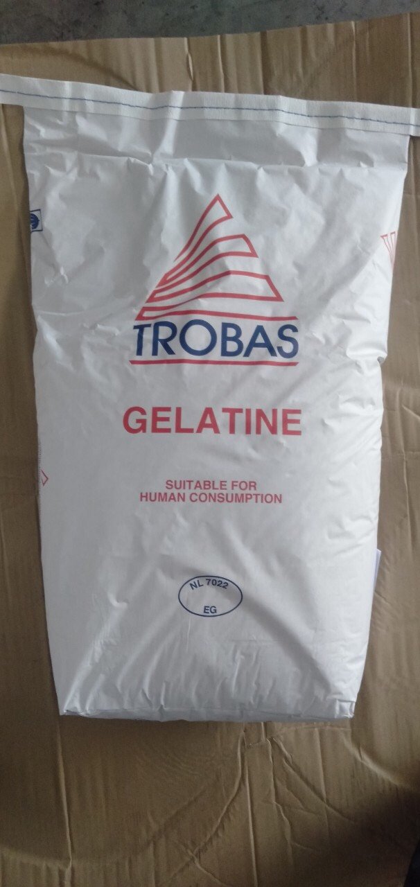 gelatin bột gói 500 gram xuất xứ Pháp