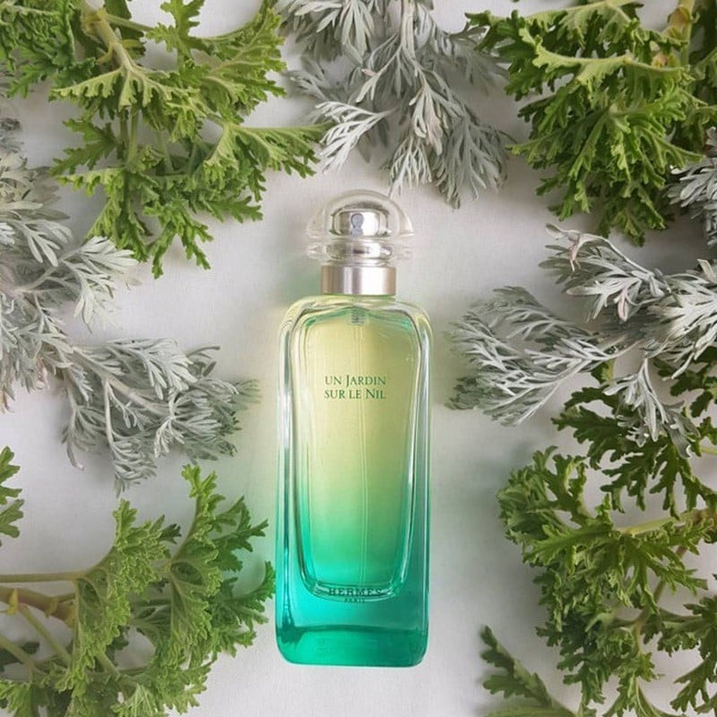 ( Dạng chiết 10ml ) Nước Hoa Hermes Un Jardin Sur Le Nil EDT