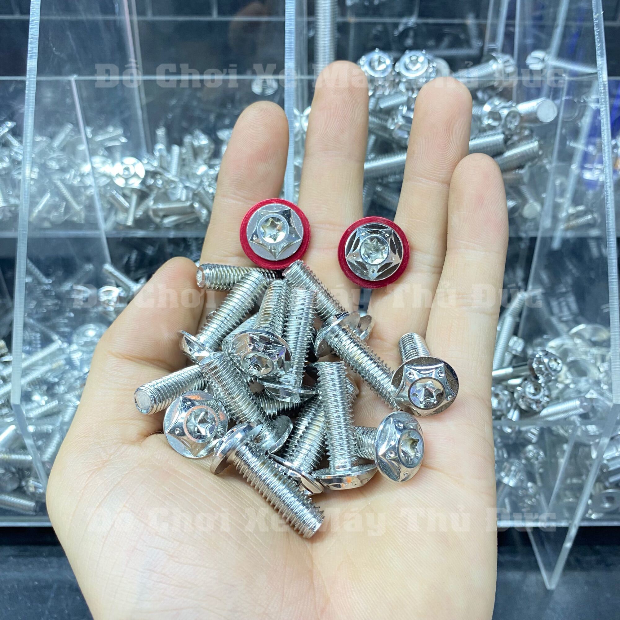 [HCM]Ốc Salaya 8li 25 Gắn Đĩa