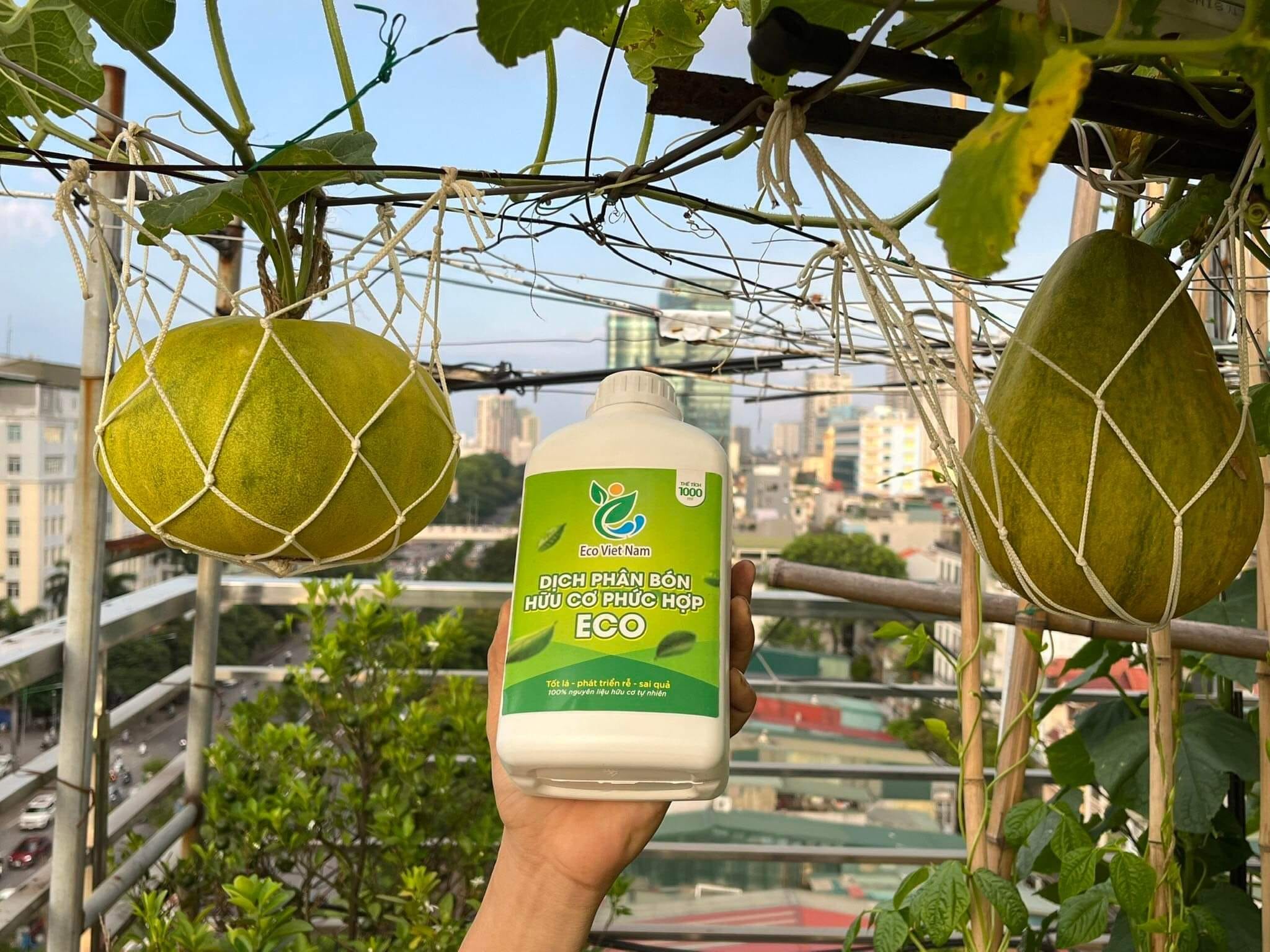 Dịch phân bón hữu cơ phức hợp Eco