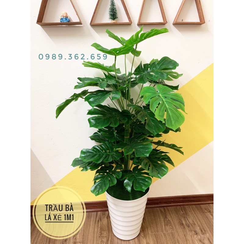 [Mã SKAMLSC228 giảm 10% đơn 100K] Cây giả cây trầu bà lá xẻ decor