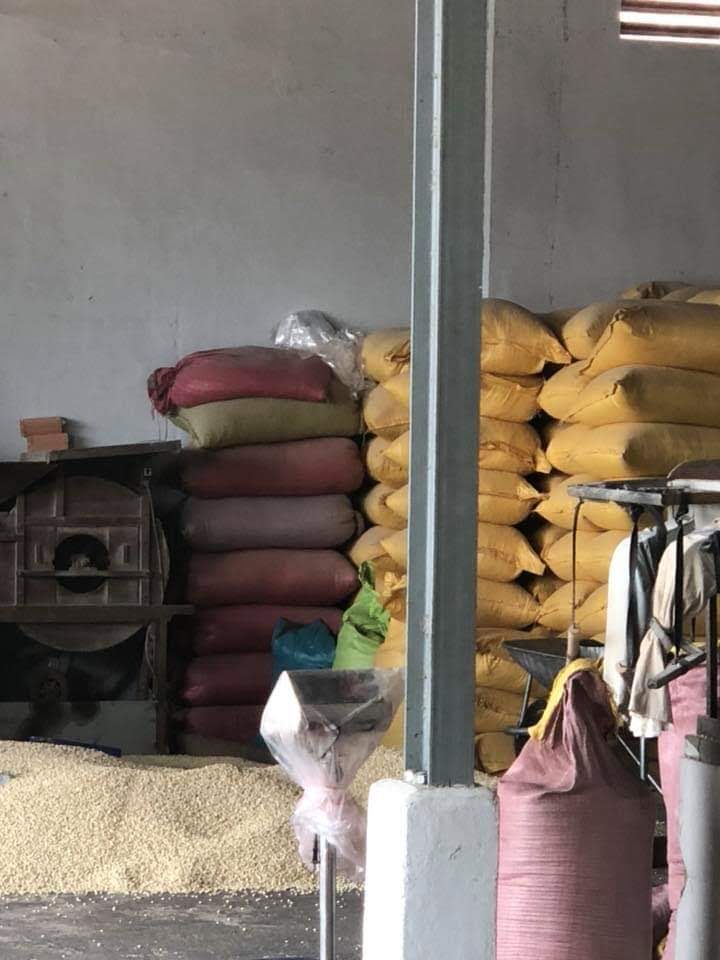 BẮP TRẮNG XAY 2 KG