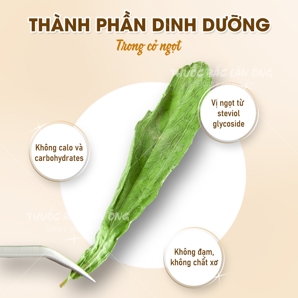 Cỏ ngọt sấy lạnh 500g (Trà cỏ ngọt hữu cơ, nguyên lá, hỗ trợ ăn kiêng)