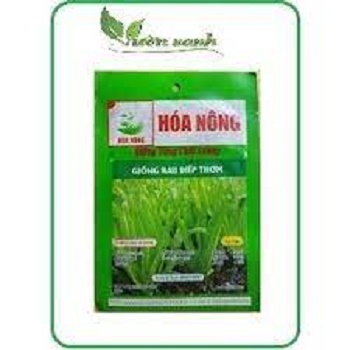Hạt giống Rau diếp thơm đặc biệt 5gr