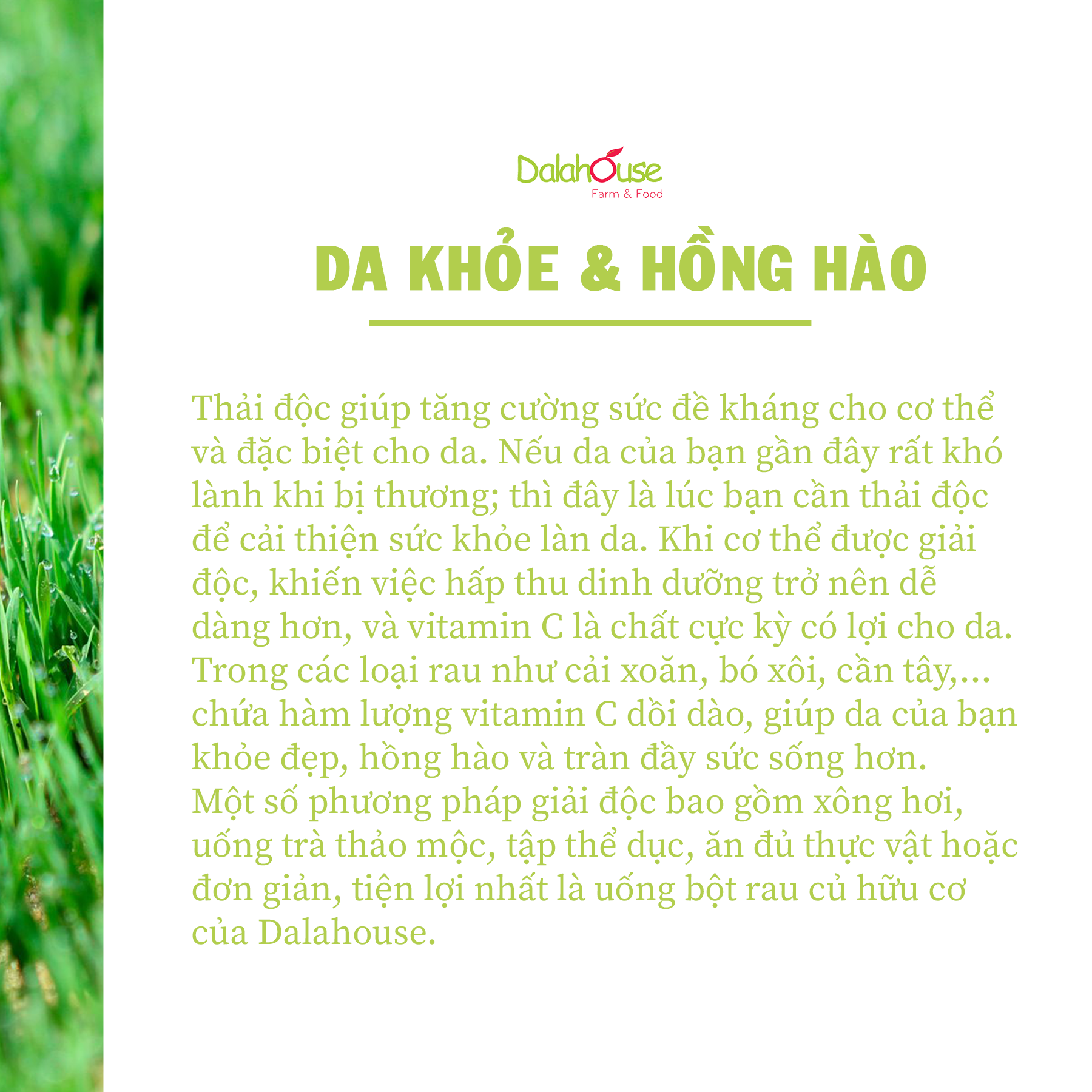 Combo Bột Rau Củ Detox Thải Độc Dalahouse 63g (21 gói * 3g * 7 vị)