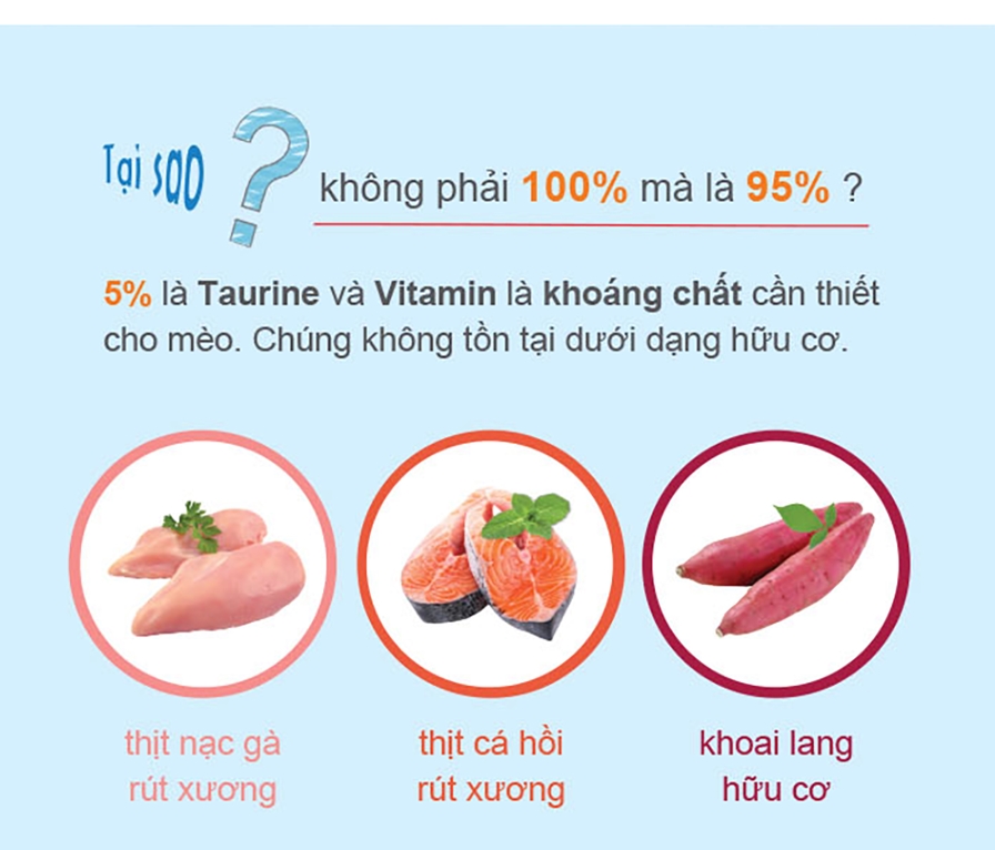 Thức ăn hữu cơ giàu đạm cho mèo Natural Core