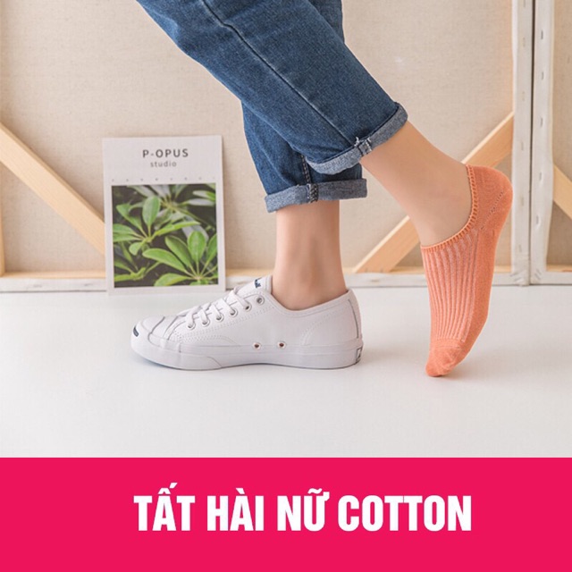 Combo 5 đôi tất hài gân hot hit