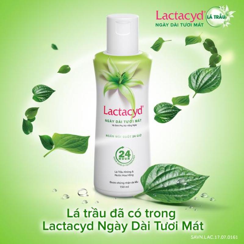 Combo 3 chai dung dịch vệ sinh phụ nữ Lactacyd ngày dài tươi mát tính chất lá trầu không và nước hoa hồng 150ml nhập khẩu