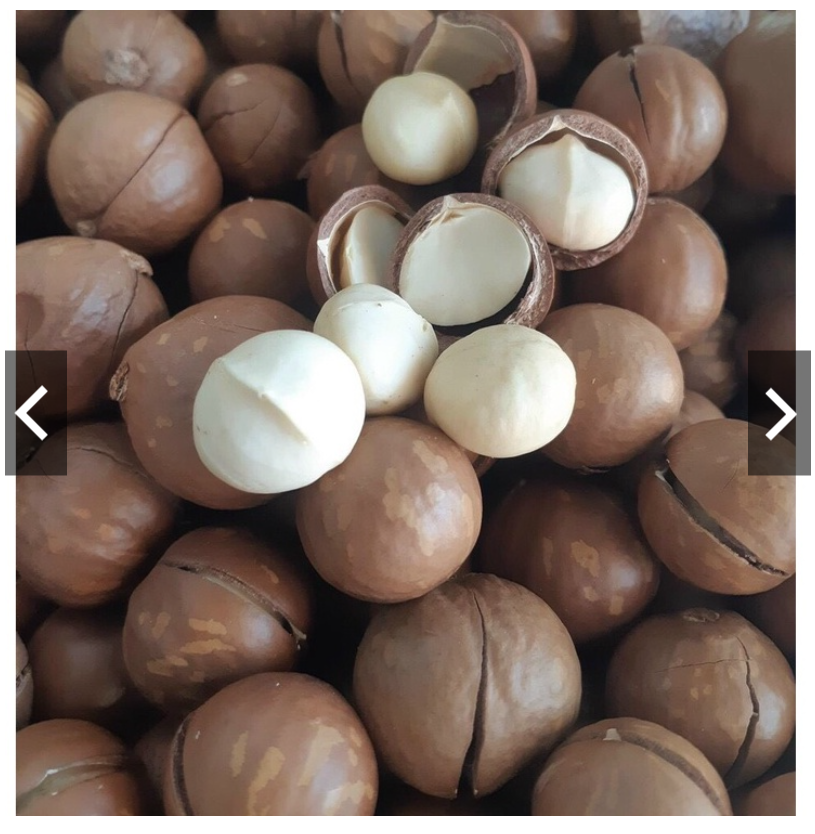500g hạt mắc ca