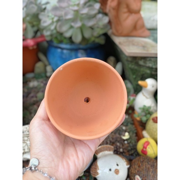 Chậu đất nung Bình Dương chậu trứng miệng 9.5 x cao 7