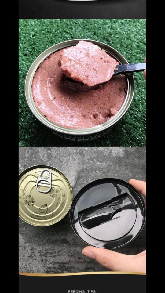 Pate Cho Mèo Bổ Sung Canxi Teb Canada 05