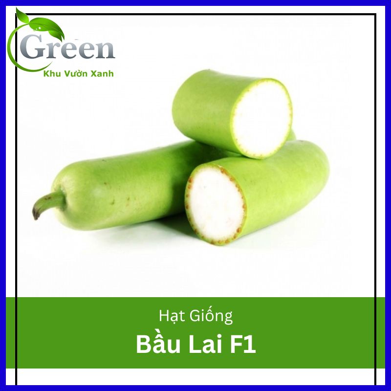 Hạt Giống Bầu Lai F1 Trái Dài