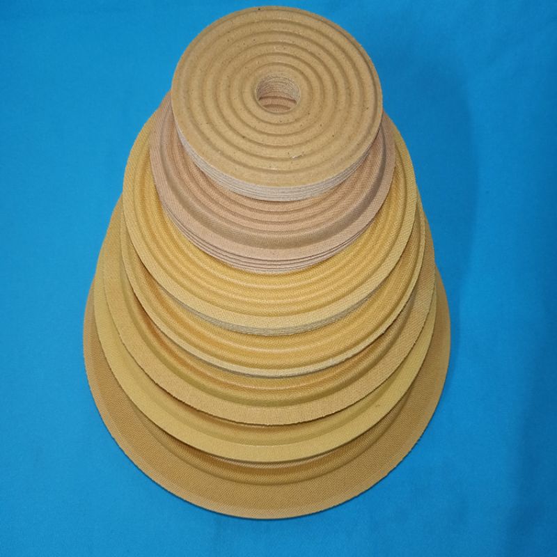 NHỆN LOA VÀNG LOẠI ĐẸP 15cm- 22cm