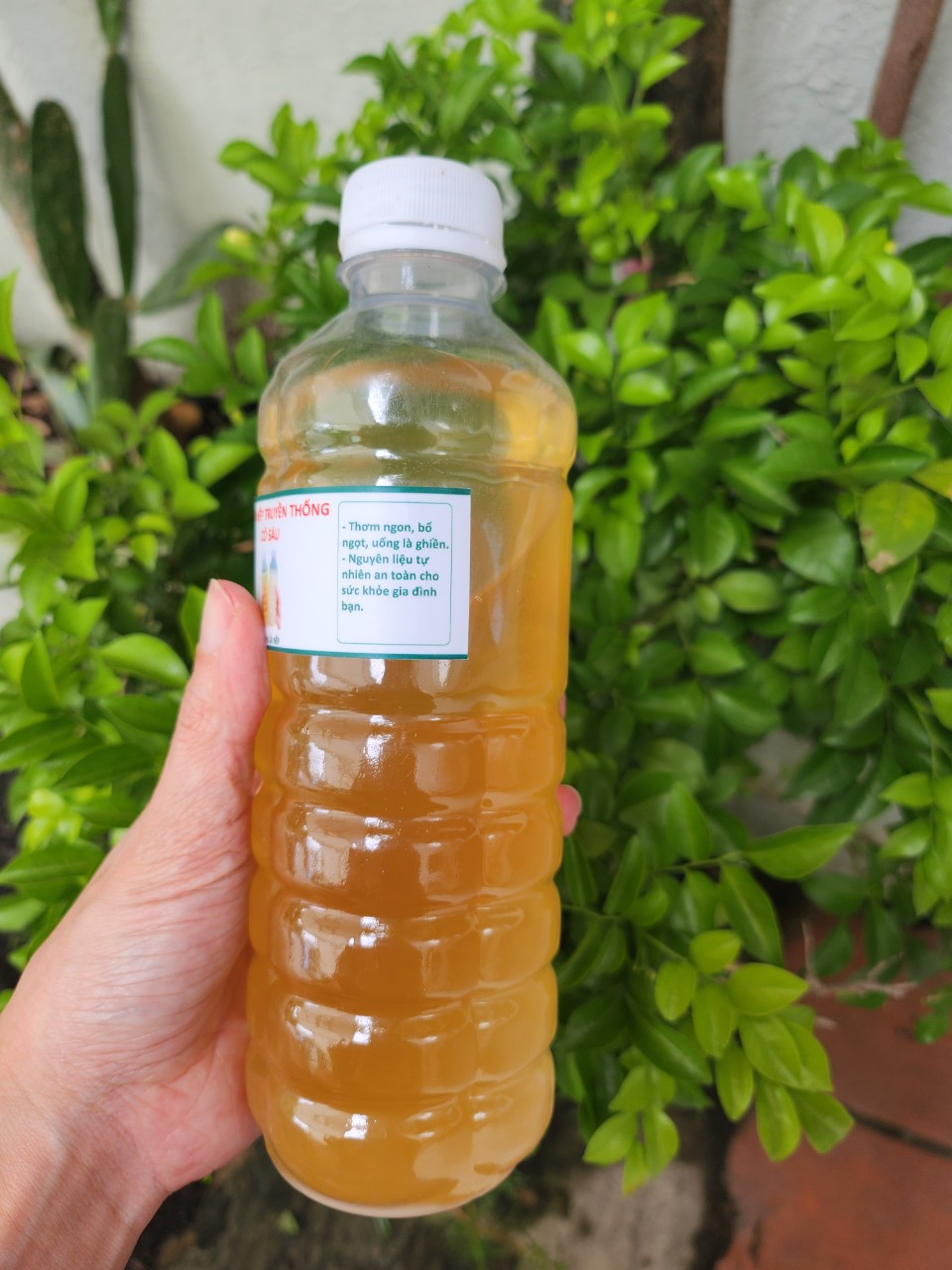 Traditional Fermented Nep Le Wine