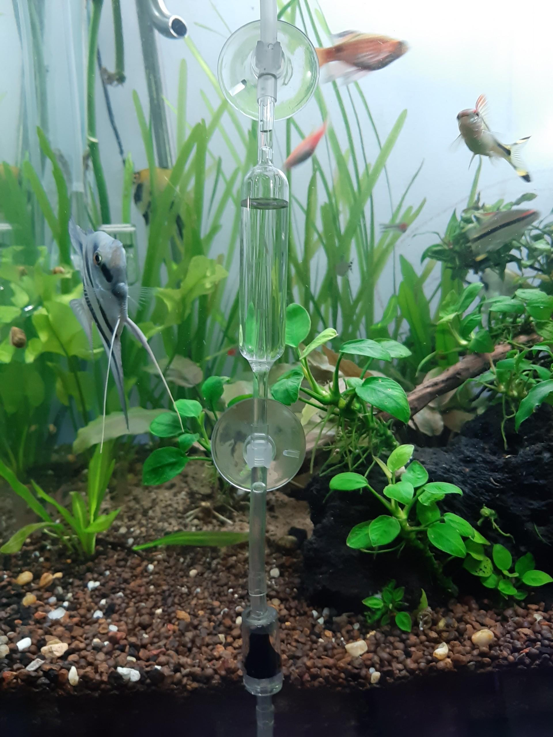 BỘ ĐẾM GIỌT CO2 THỦY TINH