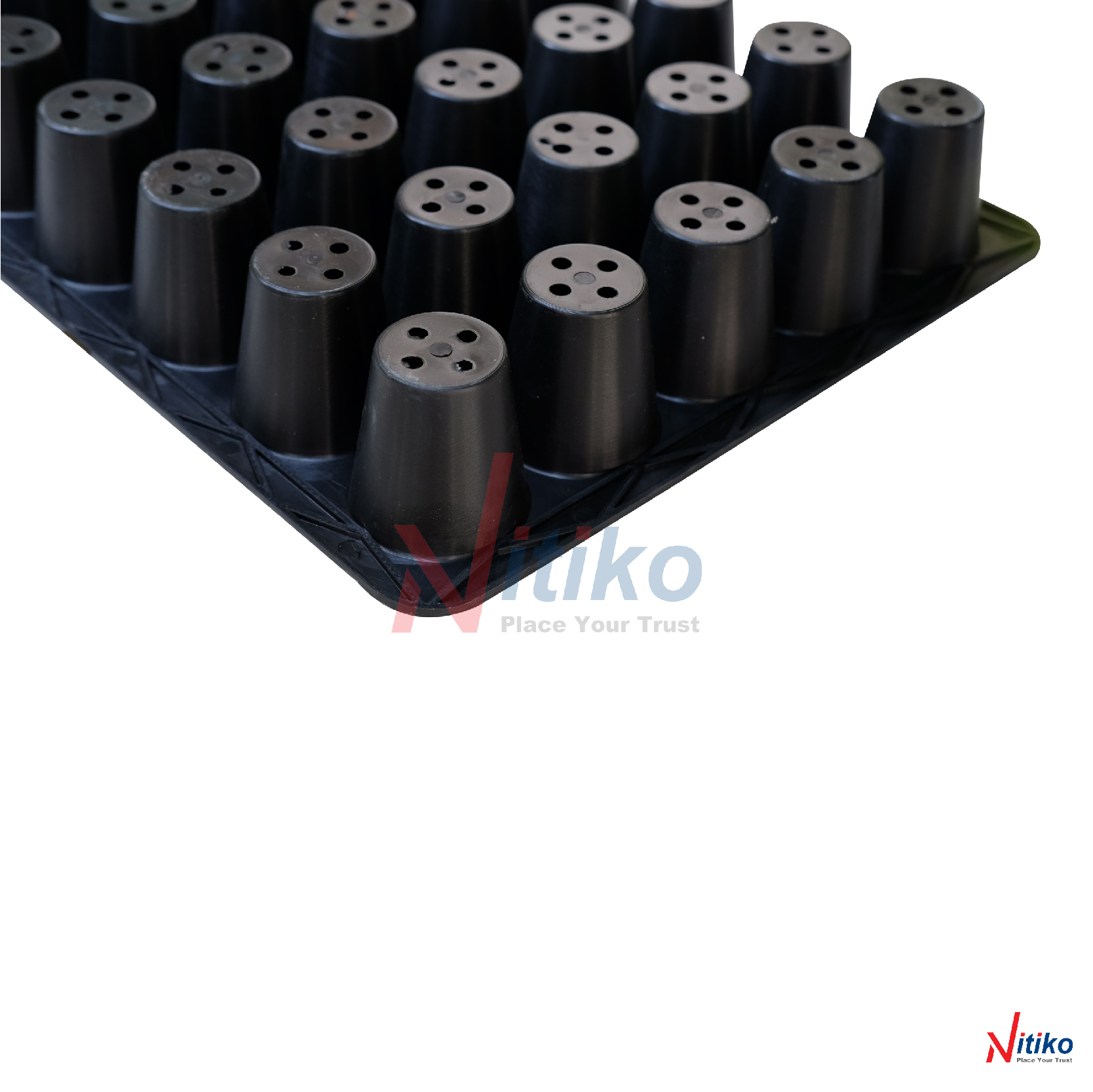 Combo 5 khay ươm hạt giống rau củ Ecotray 40 lỗ ươm