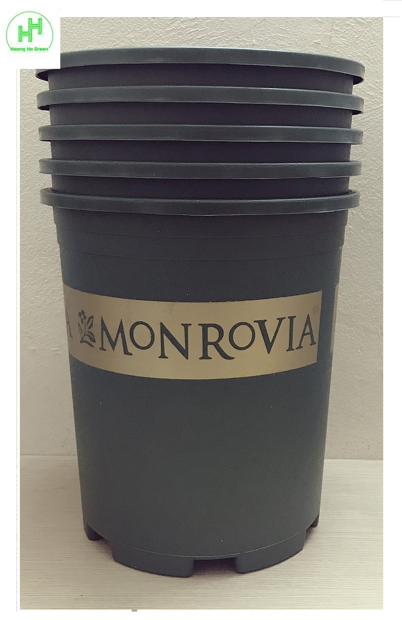 5 chậu trồng hoa , cây cảnh monrovia màu xanh 5gal cường hằng plastics
