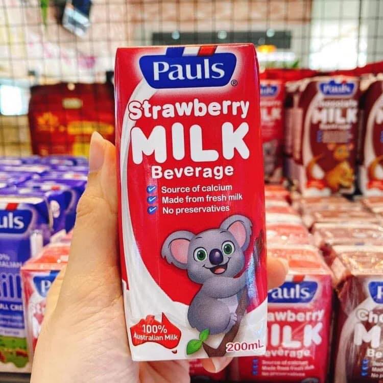 (Lốc 6 hộp) Sữa tươi Paul vị socola,dâu,nguyên kem 200ml date mới