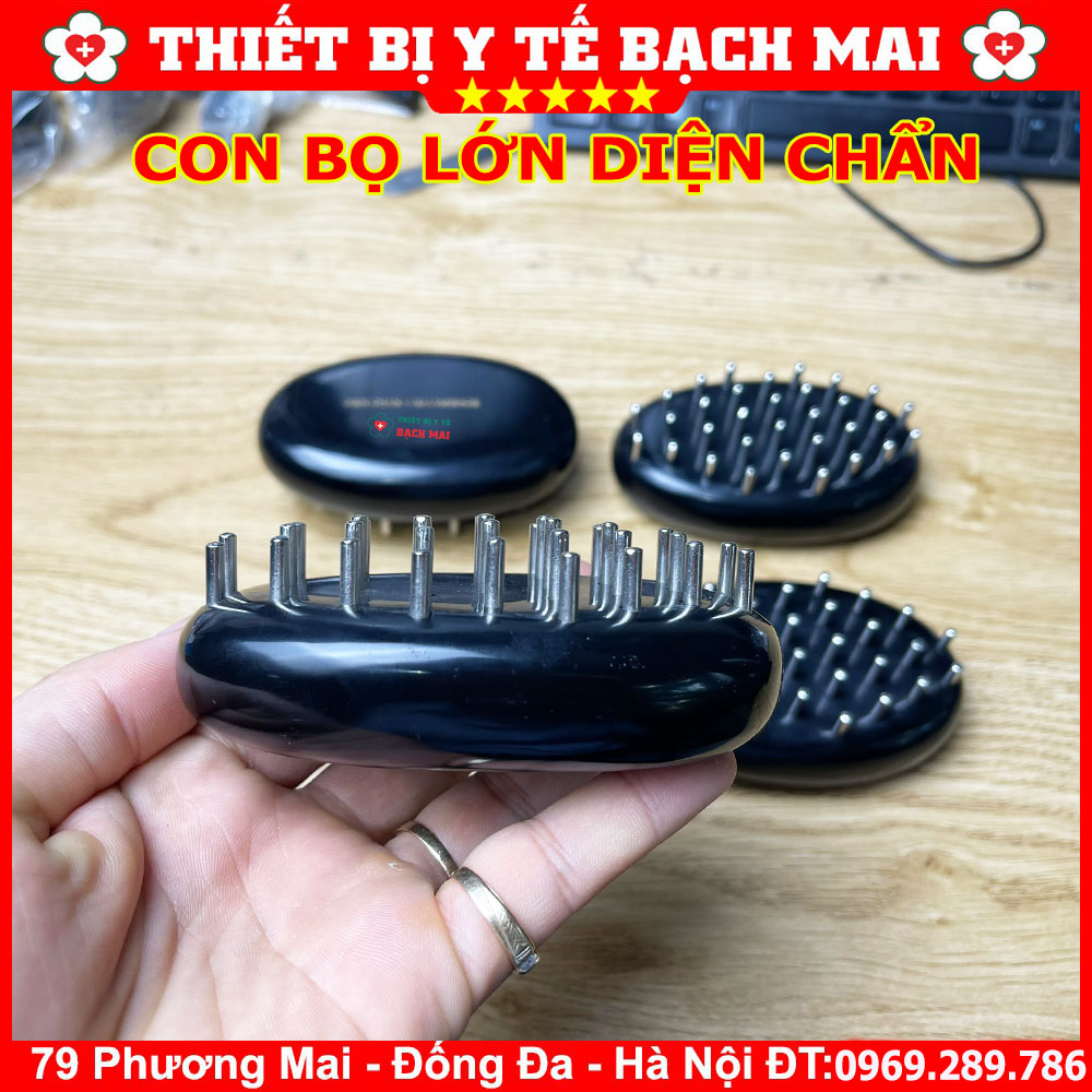 Con Bọ Lớn Diện Chẩn