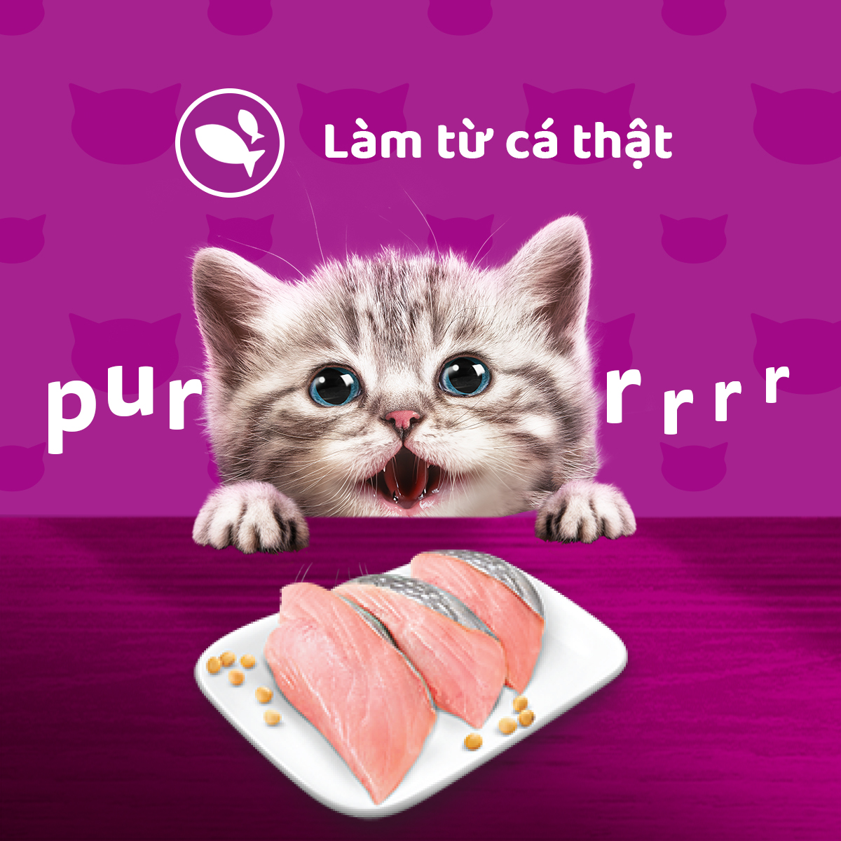 Pate Cho Mèo Con WHISKAS Junior 80g, 24 gói