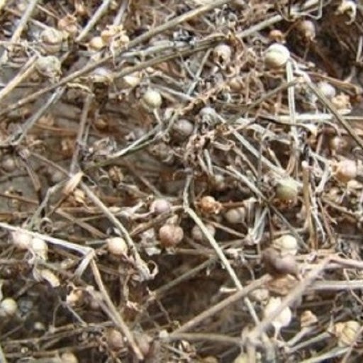 Bạch hoa xà thiệt thảo 1kg