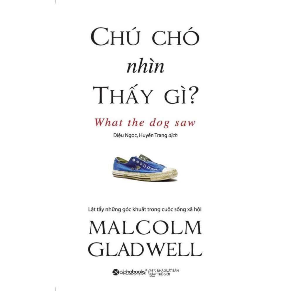 Sách - Chú Chó Nhìn Thấy Gì? [Alphabooks]