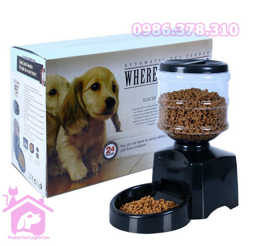 Máy bát ăn hẹn giờ cho ăn tự động 5.5L Có ghi âm gọi ăn