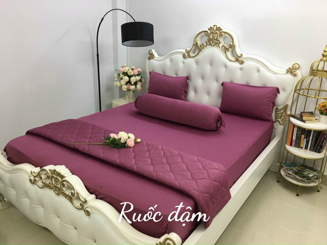 BỘ DRAP THUN MÀU HÀN QUỐC 4 MÓN (1 drap + 2 áo gối nằm + 1 áo gối ôm)